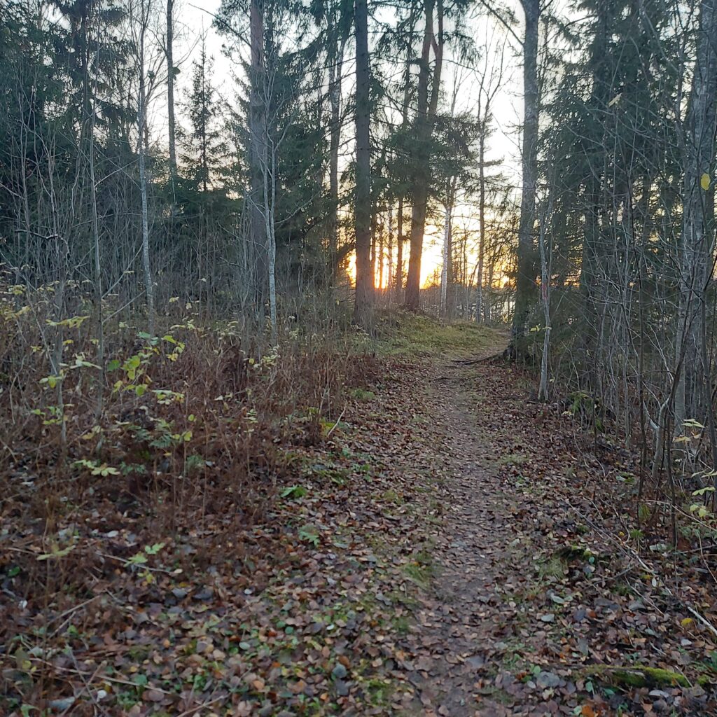 Kuva Panninniemen uudelta ulkoilureitiltä.