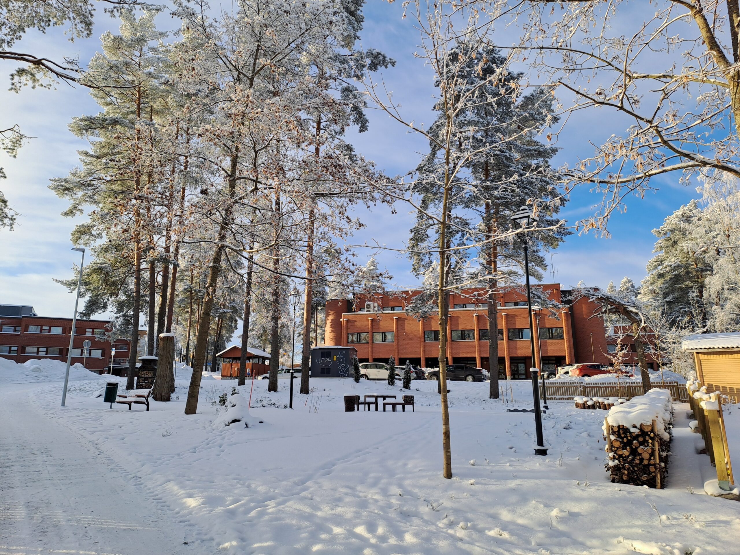 Winter Pharmacist Park