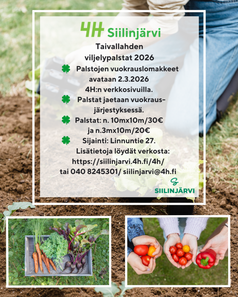 Taivallahden viljelypalstojen 2026 mainos