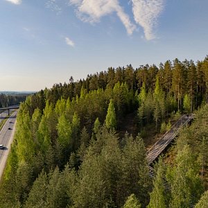 Kuilun kuntoportaat ilmasta kuvattuna Siilinjärvellä.