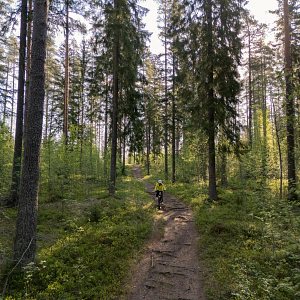 Henkilö ajaa maastopyörällä hiekkatietä pitkin Patakukkulan harjumaisemissa Siilinjärvellä.