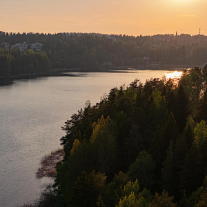 Puiden ja kivien ympäröimä Siilinlahden ranta Siilinjärvellä. Auringonlasku taustalla.
