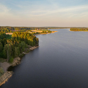 Puiden ja kivien ympäröimä Siilinlahden ranta Siilinjärvellä.