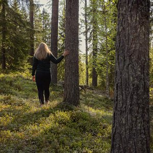 Nainen kävelee metsässä auringonvalossa Patakukkulan harjumaisemissa Siilinjärvellä.