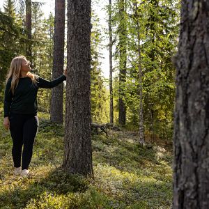 Nainen kävelee metsässä auringonvalossa Patakukkulan harjumaisemissa Siilinjärvellä.
