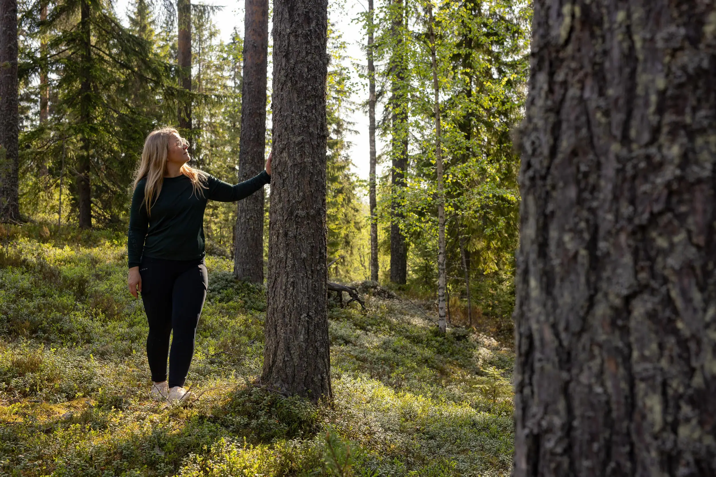 Nainen kävelee metsässä auringonvalossa Patakukkulan harjumaisemissa Siilinjärvellä.