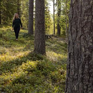 Nainen kävelee metsässä auringonvalossa Patakukkulan harjumaisemissa Siilinjärvellä.