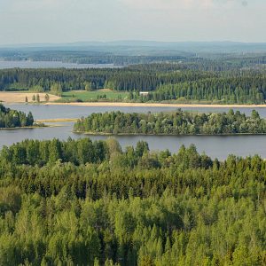 Siilinlahtea kuvattuna Kasurilan rinteiden päältä Siilinjärvellä.
