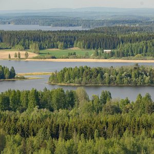 Siilinlahtea kuvattuna Kasurilan rinteiden päältä Siilinjärvellä.