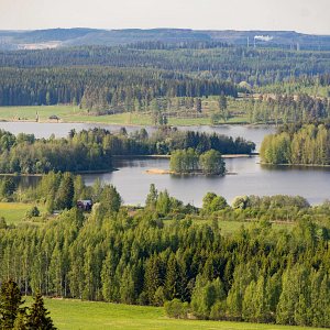 Siilinlahtea kuvattuna Kasurilan rinteiden päältä Siilinjärvellä.