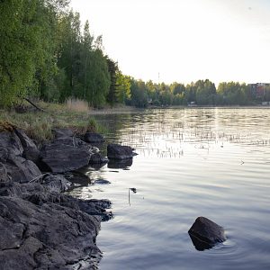 Puiden ja kivien ympäröimä Siilinlahden ranta Siilinjärvellä.