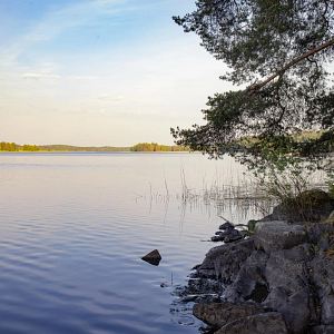 Puiden ja kivien ympäröimä Siilinlahden ranta Siilinjärvellä.