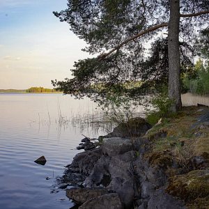 Puiden ja kivien ympäröimä Siilinlahden ranta.