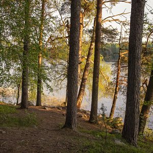 Puiden ja kivien ympäröimä Siilinlahden ranta.