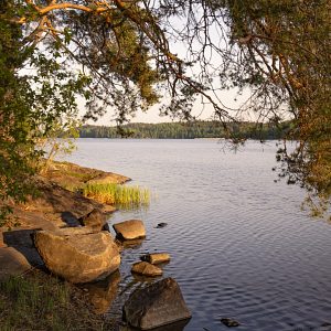 Puiden ja kivien ympäröimä Siilinlahden ranta.