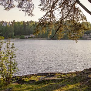 Siilinlahden ranta, jota ympäröivät puut ja ruoho.