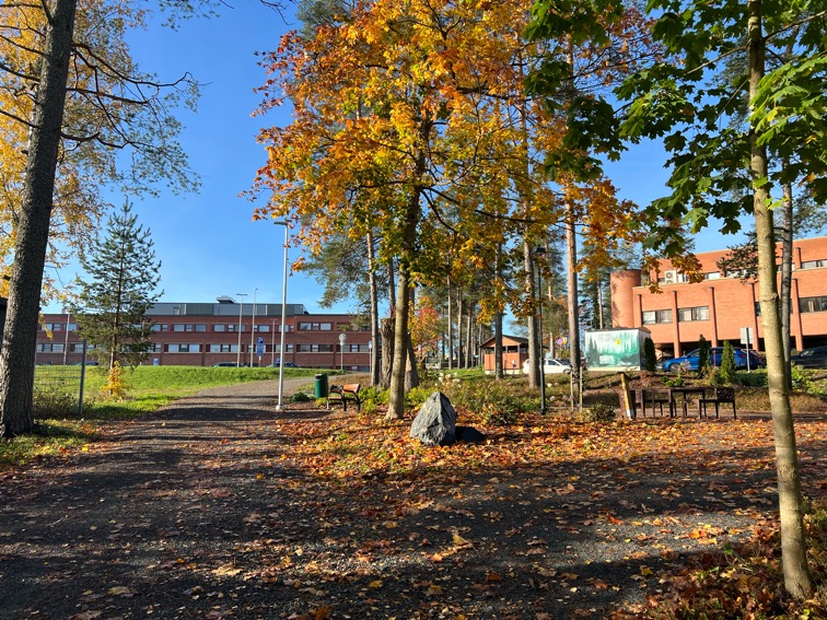 Syksyinen kuva apteekkarinpuistosta